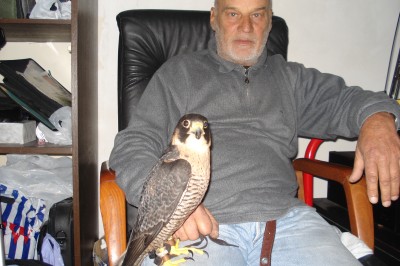 50.8 aljosa soko 1.jpg